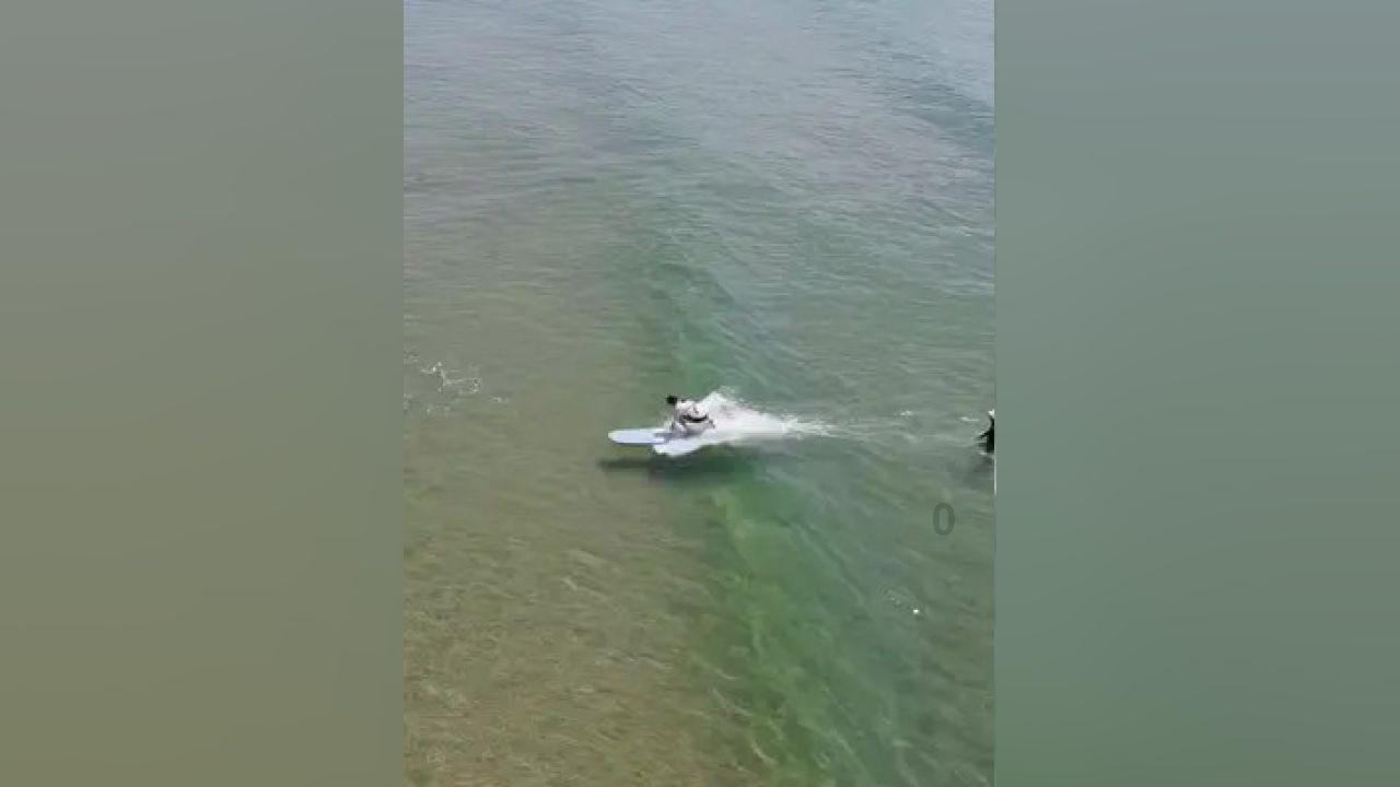 宁畅探索生成式AI时代模型技术落地最佳实践